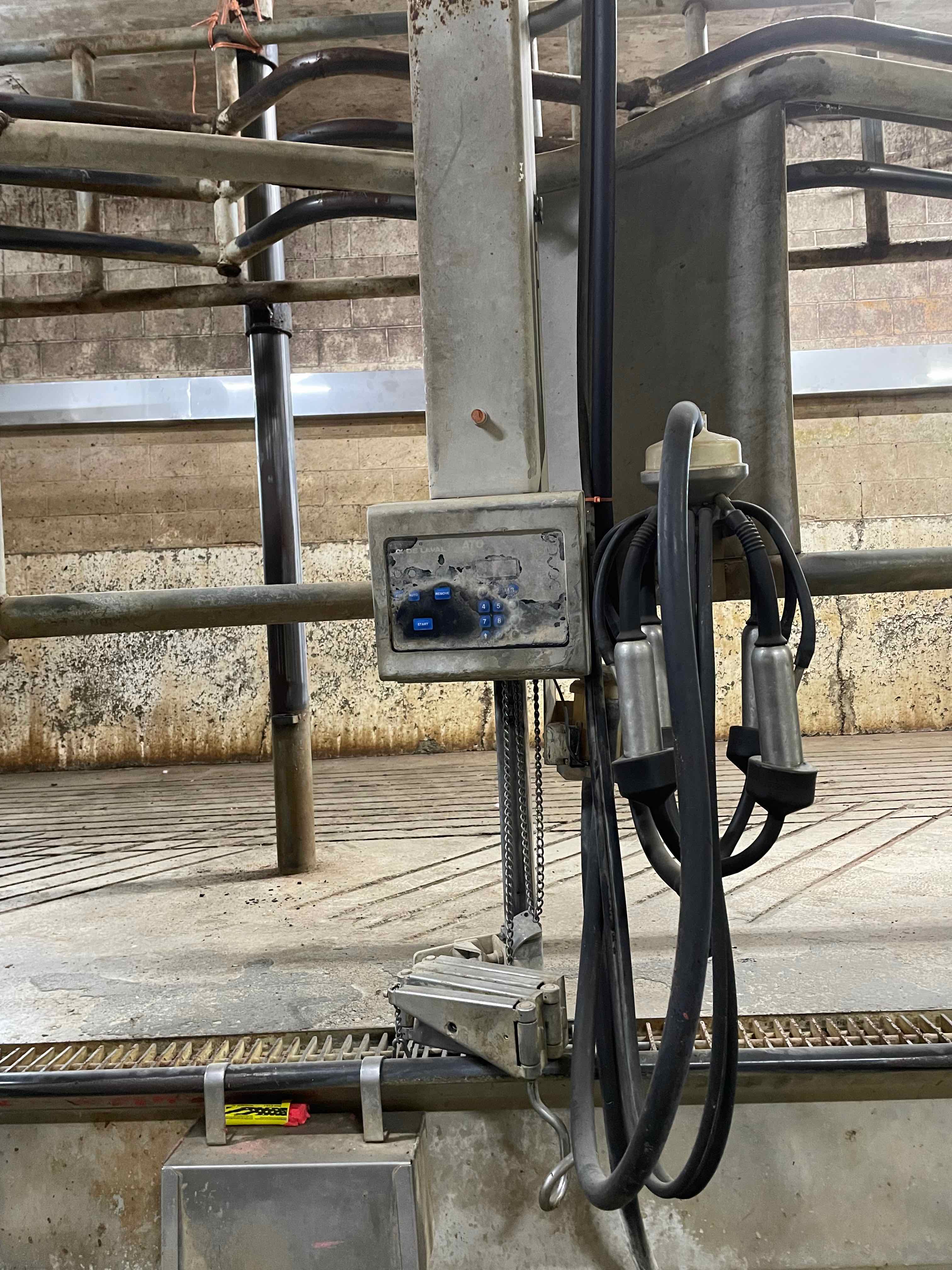 #DD2099 - Delaval Blue Diamond Rapid Exit Herringbone double 10 - WA - Image 3
